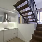 Maier קדיז