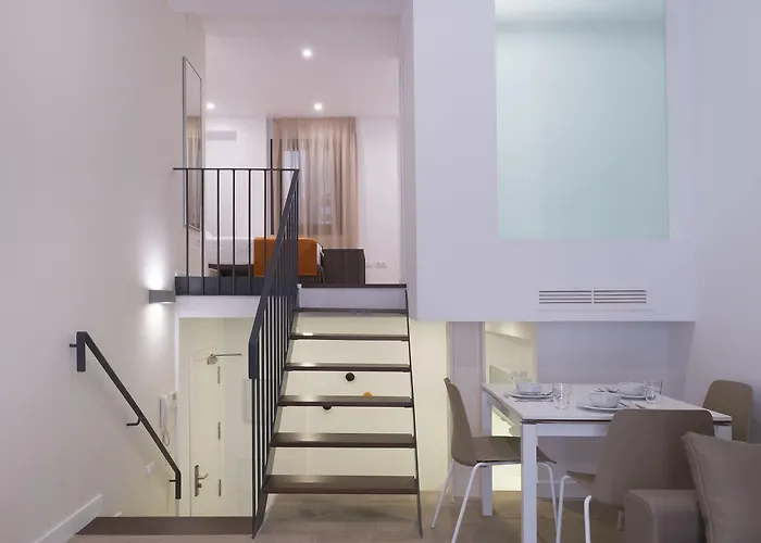 Maier * カディス